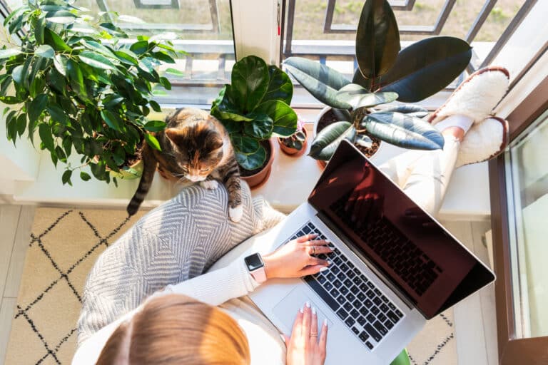 Frau mit Laptop und Katze am Fenster sitzend