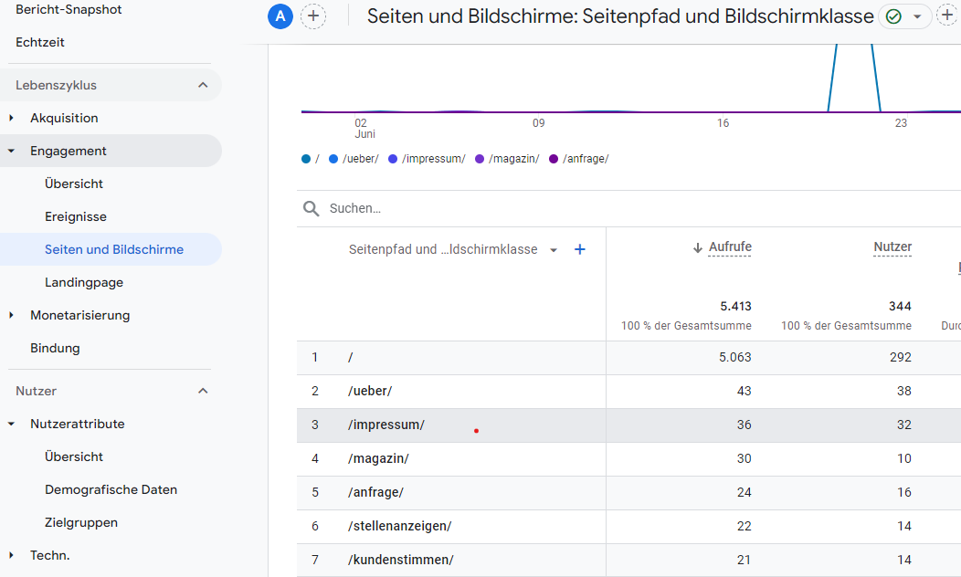 Google Analytics Seiten- und Bildschirme-Statistik.