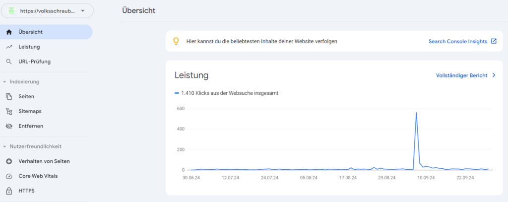 Screenshot von Google Search Console